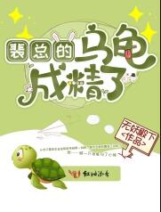 裴总的乌龟成精了小说晋江